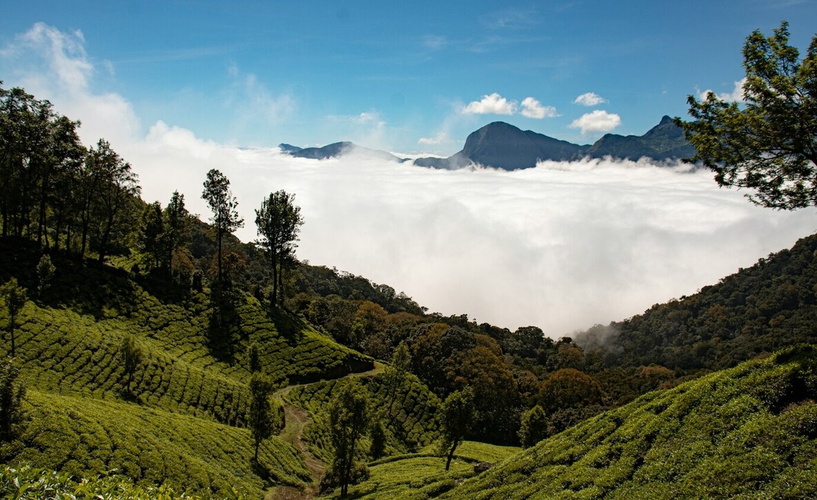 Munnar Ooty distance, Kodaikanal Munnar; Ooty Munnar Kodaikanal tour package,